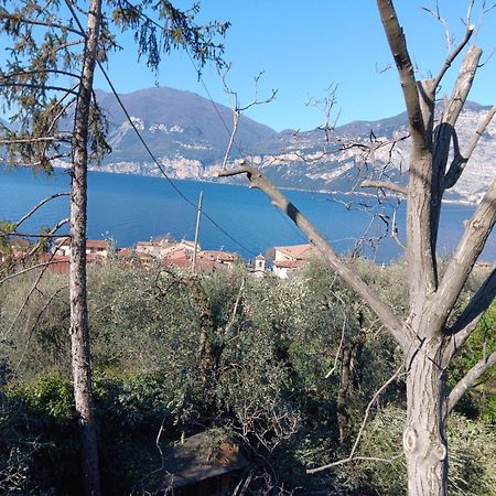 Appartamenti Albatros Brenzone sul Garda Exterior foto