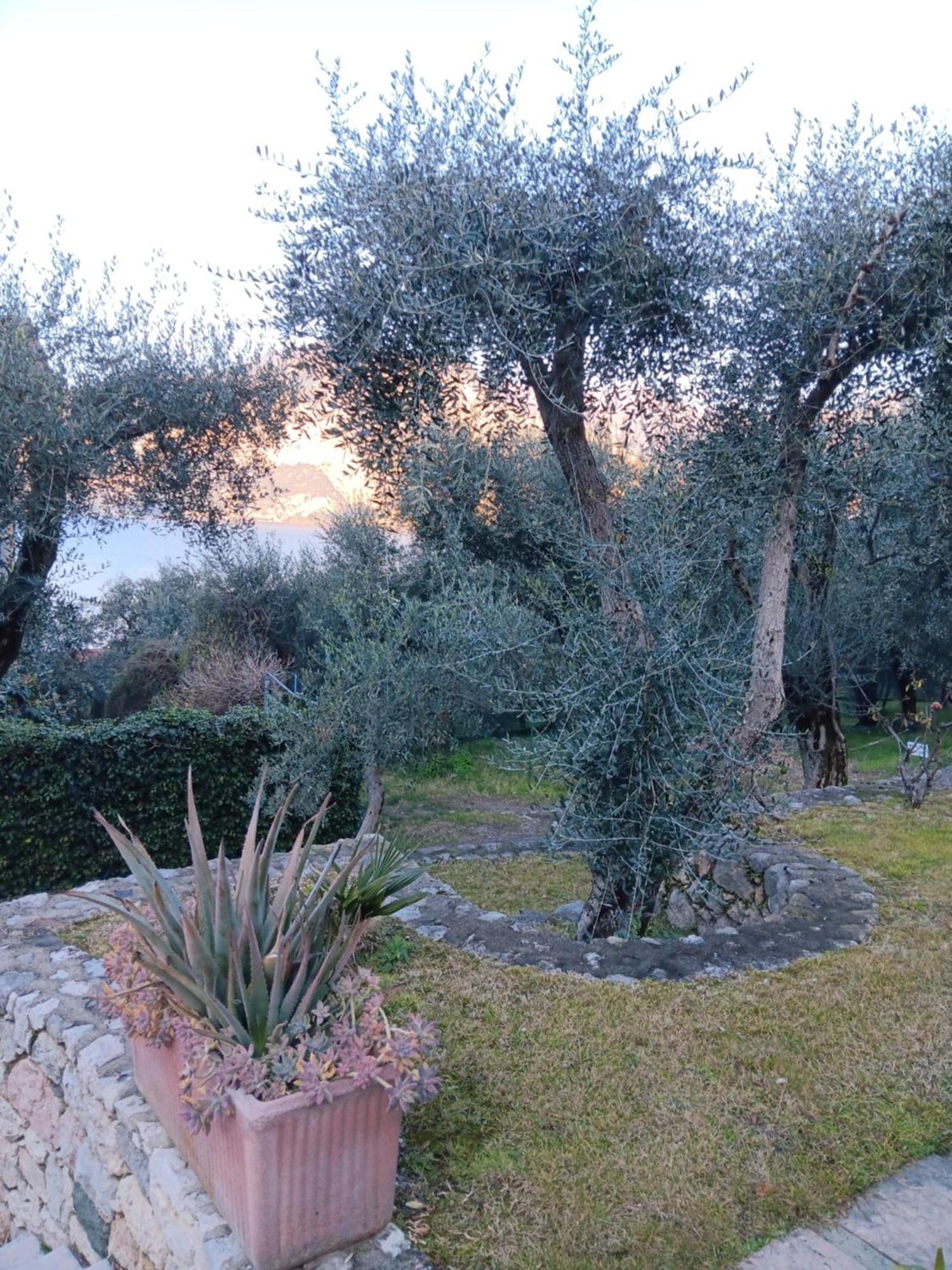 Appartamenti Albatros Brenzone sul Garda Exterior foto