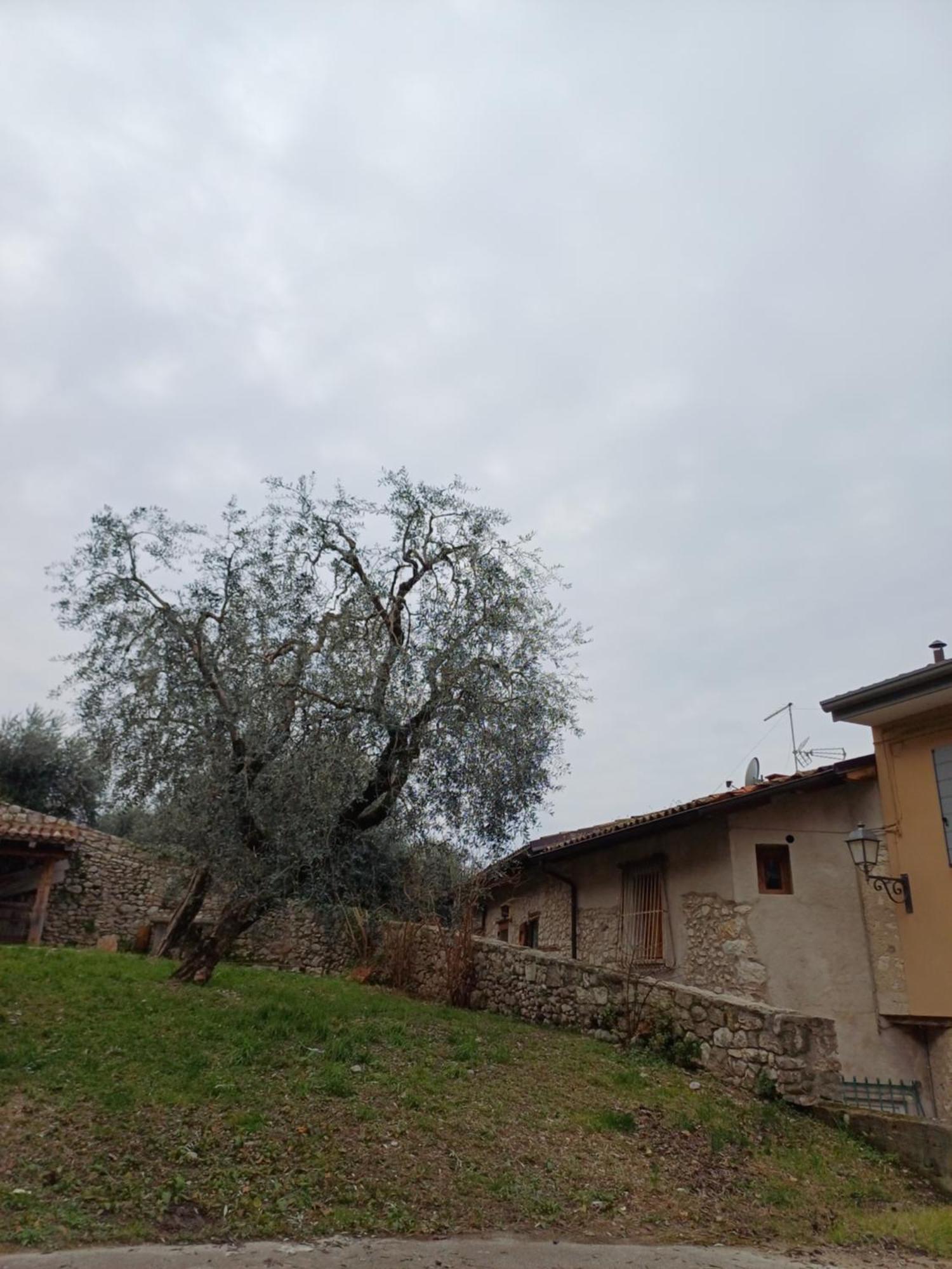 Appartamenti Albatros Brenzone sul Garda Exterior foto