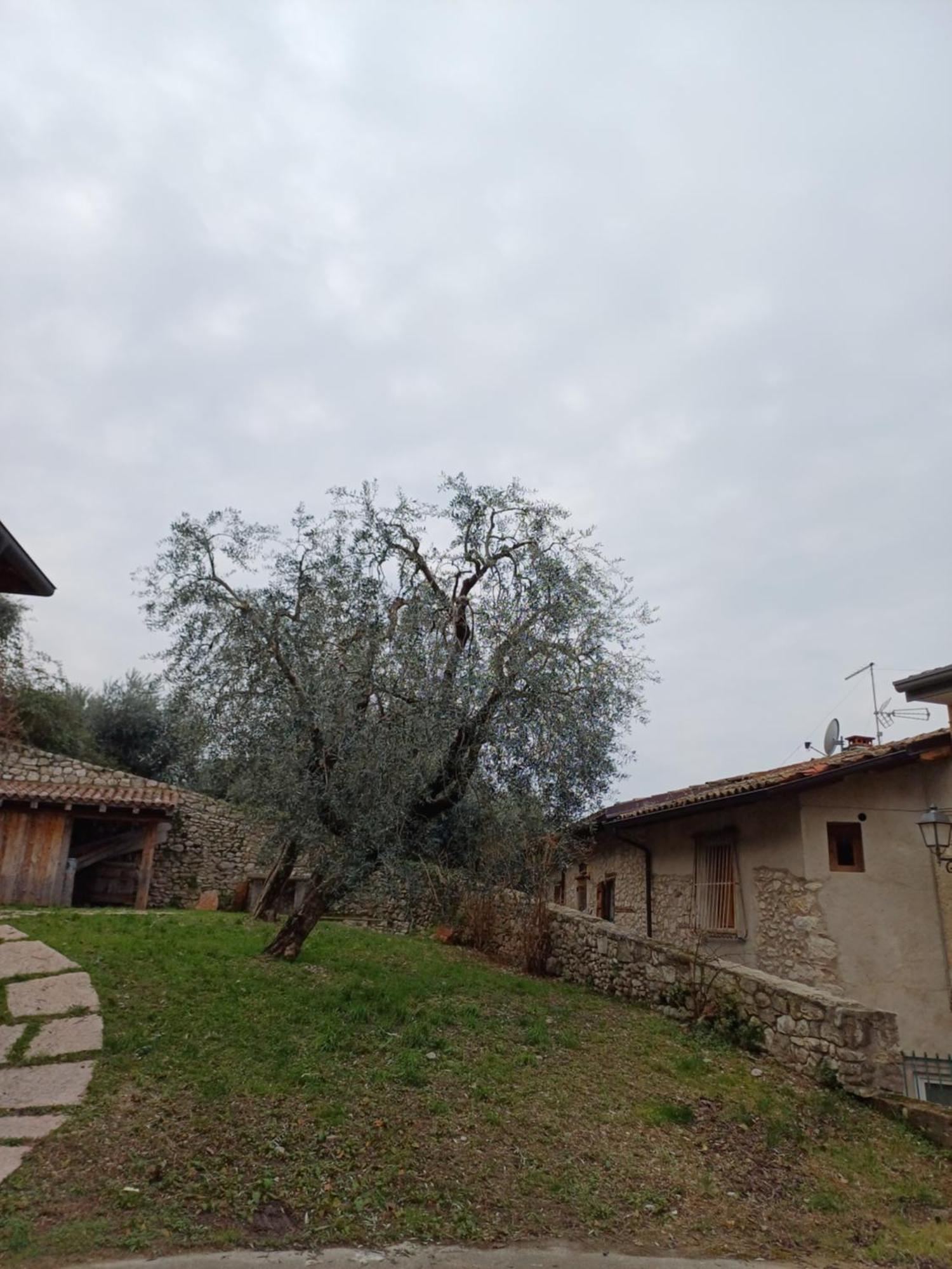 Appartamenti Albatros Brenzone sul Garda Exterior foto
