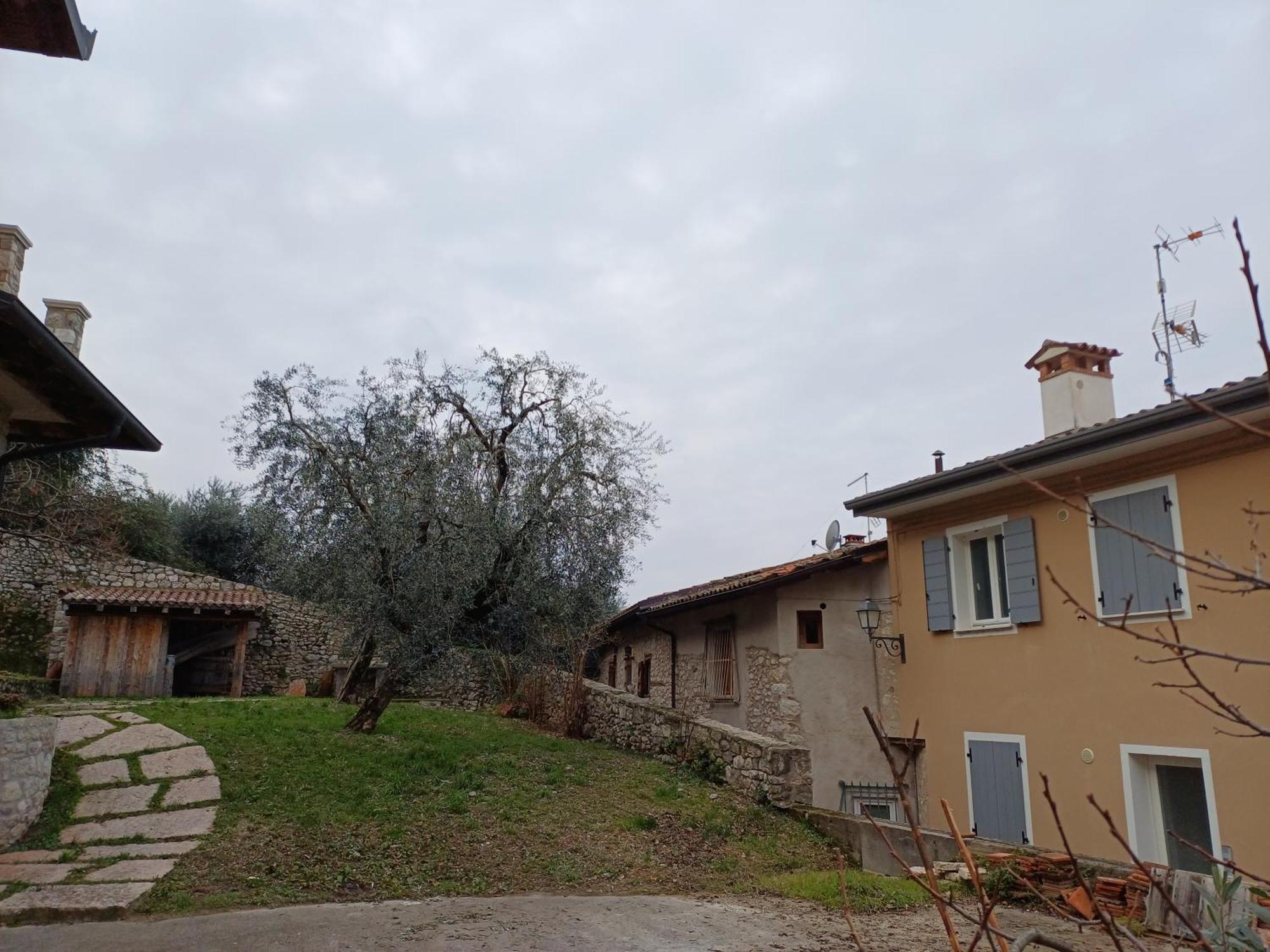 Appartamenti Albatros Brenzone sul Garda Exterior foto