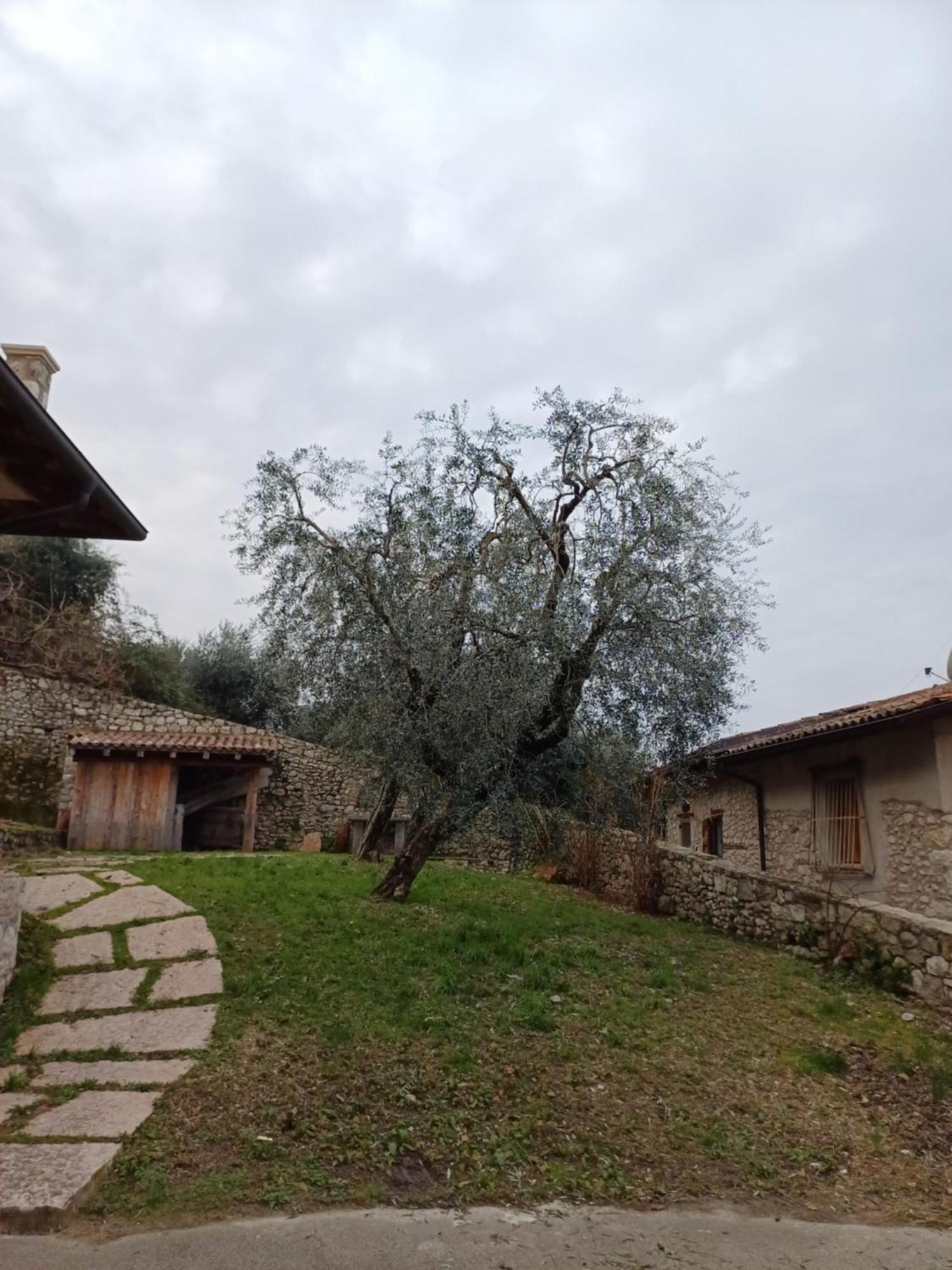 Appartamenti Albatros Brenzone sul Garda Exterior foto