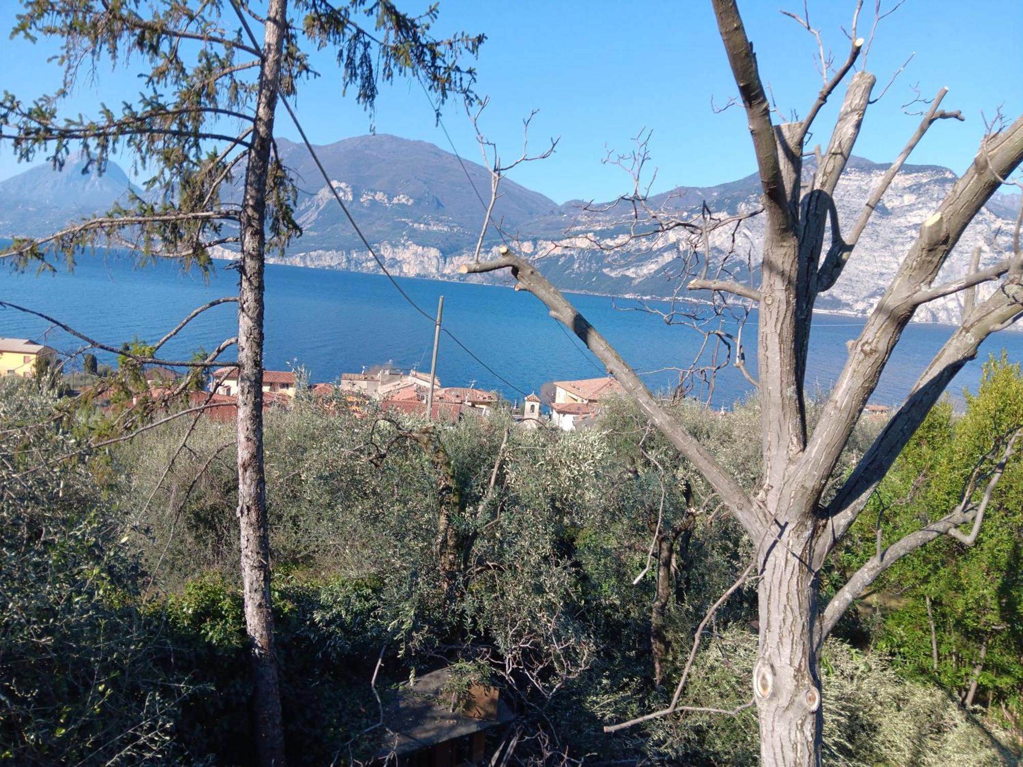 Appartamenti Albatros Brenzone sul Garda Exterior foto
